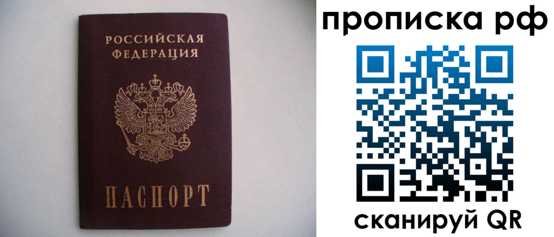 временная регистрация гарантия в Оленегорске